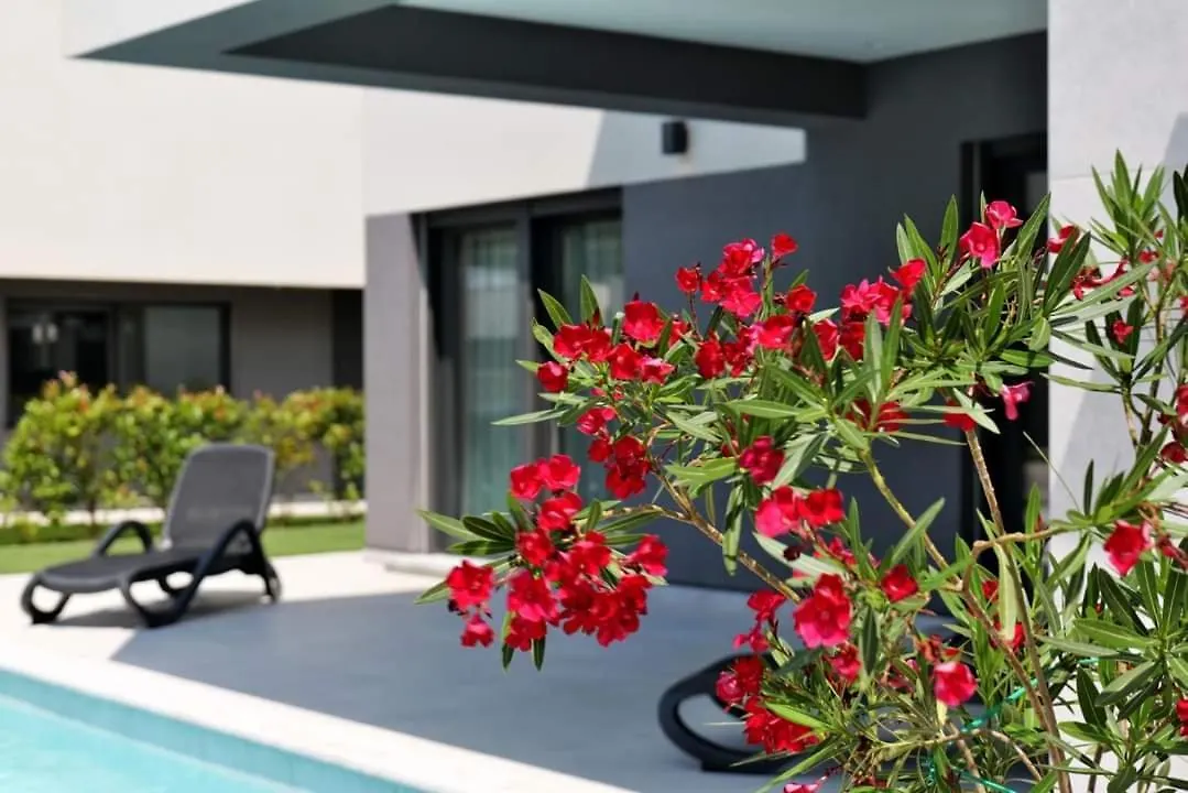 Villa Centinera Mit Pool In Meernaehe Banjole